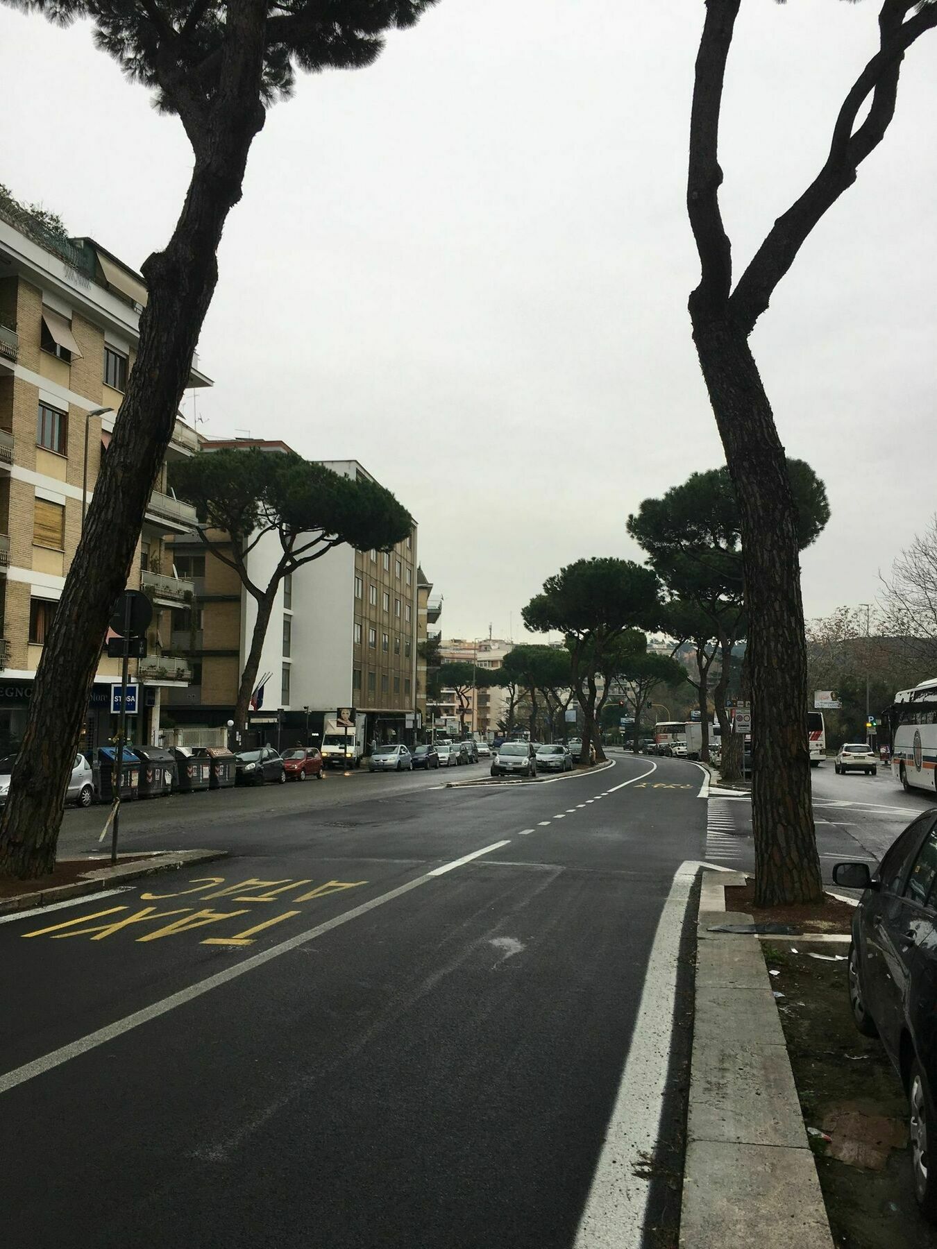 Domum Vaticani Hotel Rome Bagian luar foto